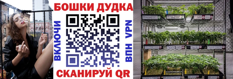 darknet состав  Южно-Сухокумск  Бошки марихуана семена 
